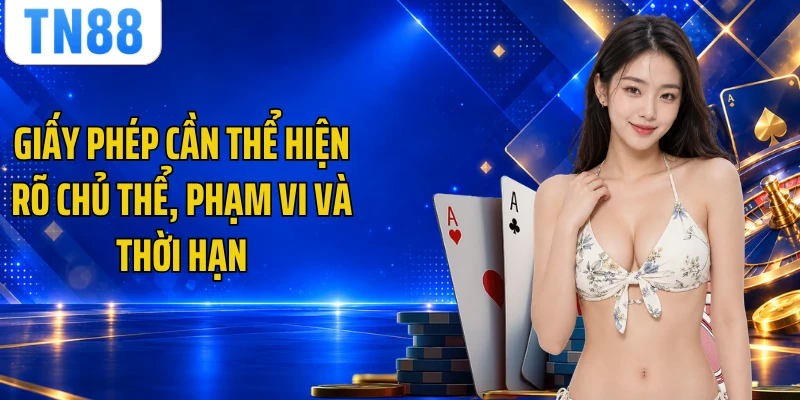 Giấy phép cần thể hiện rõ chủ thể, phạm vi và thời hạn