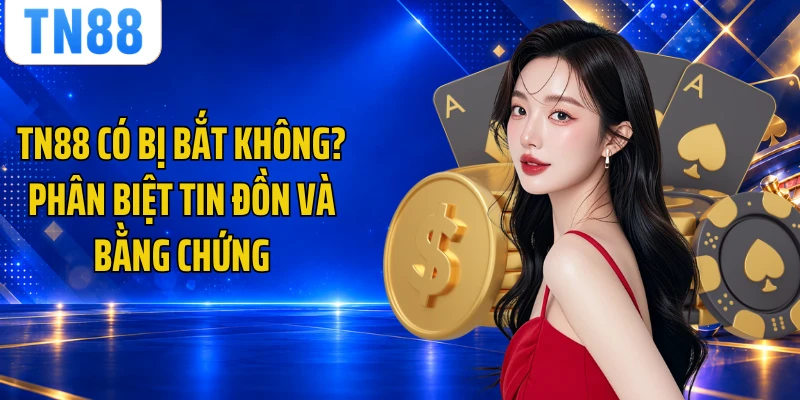 TN88 Có Bị Bắt Không? Phân Biệt Tin Đồn Và Bằng Chứng